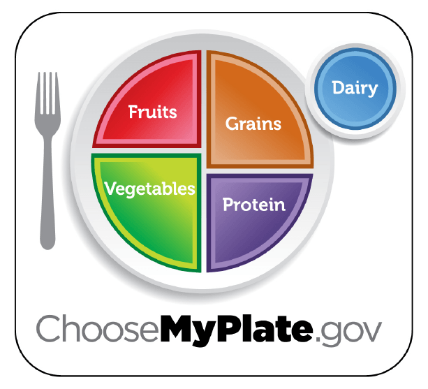 Pyramid food guide showing recommended split between fruits, grains, vegetables protein and dairy. Graphic sourced from ChooseMyPlate.gov